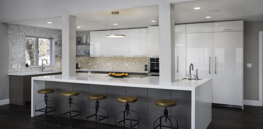 Sleek Contemporary Kitchen Remodel